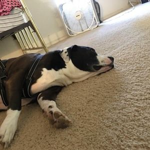 Meet your Posher, Carl